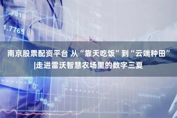 南京股票配资平台 从“靠天吃饭”到“云端种田”|走进雷沃智慧农场里的数字三夏