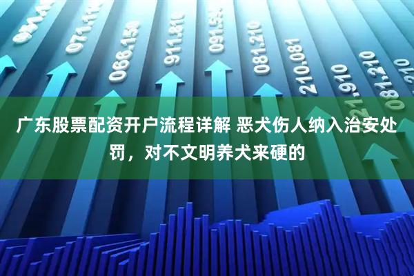 广东股票配资开户流程详解 恶犬伤人纳入治安处罚，对不文明养犬来硬的